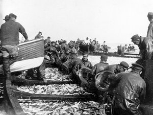 Fisherman with their Catch by English Photographer